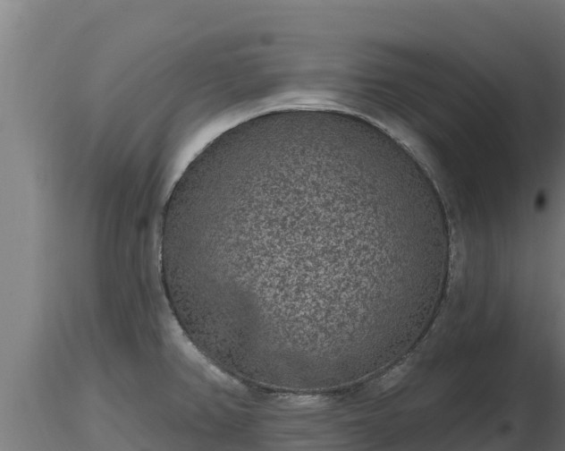X0000116771382200912241154