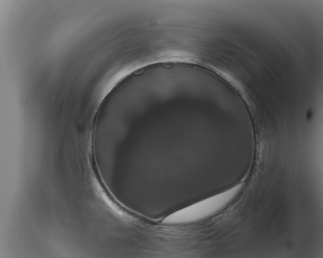 X0000116771383200912241154