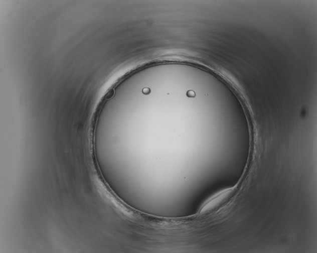 X0000116771384200912241154