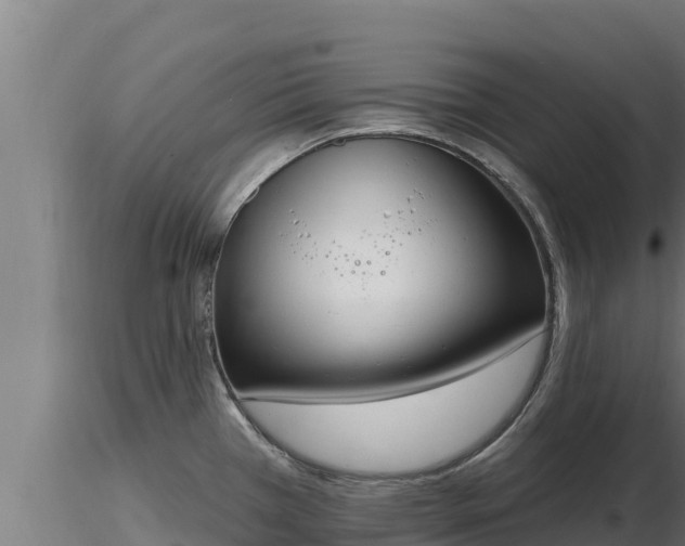X0000116771385200912241154
