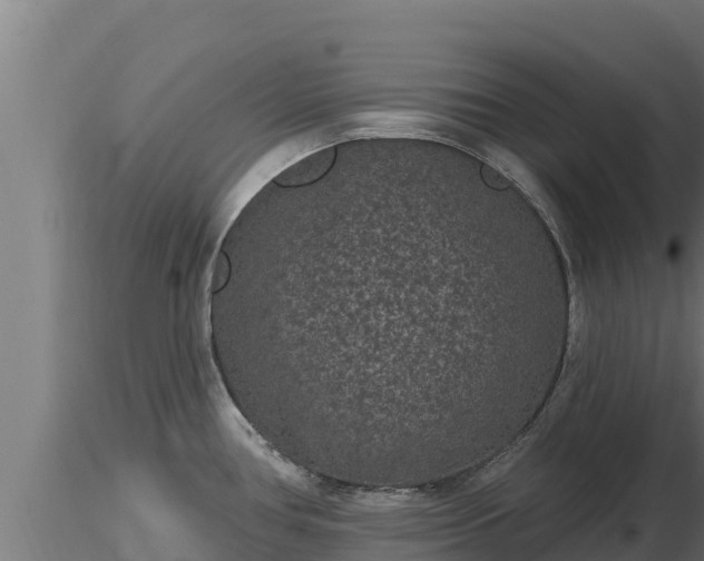X0000116771386200912241154