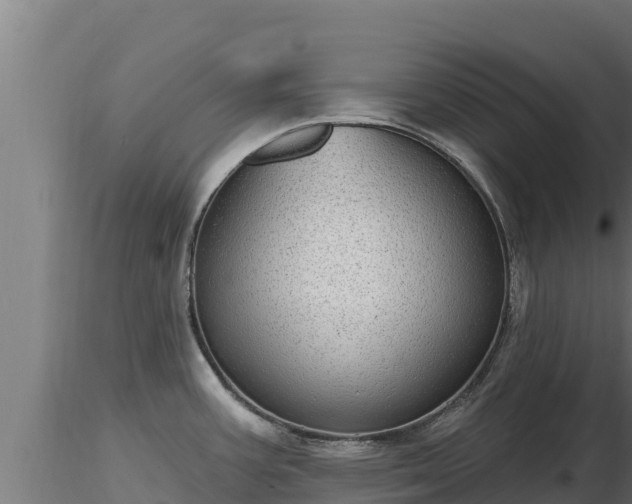 X0000116771387200912241154