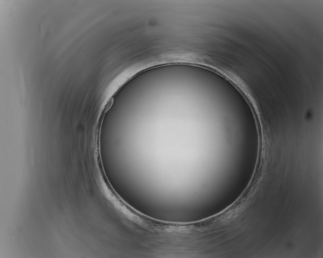 X0000116771389200912241154