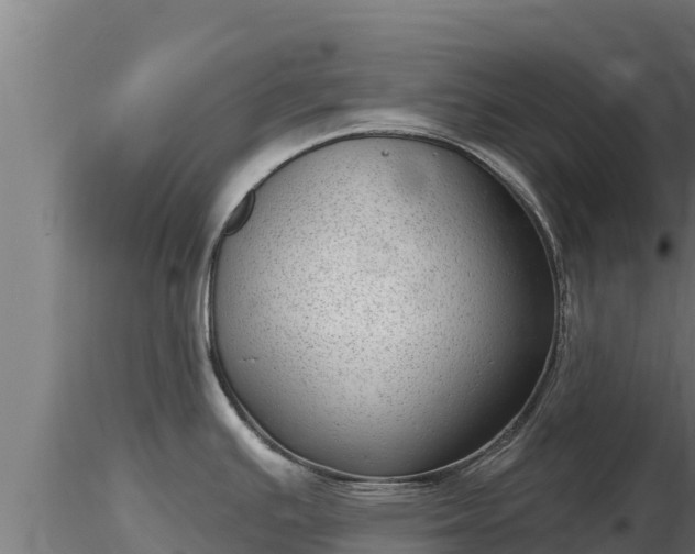 X0000116771391200912241154
