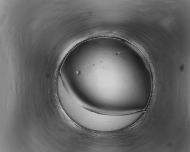 X0000116771392200912241154