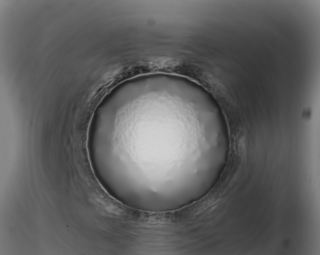 X0000116771393200912241153