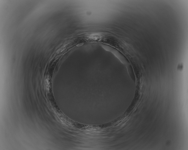 X0000116771394200912241153