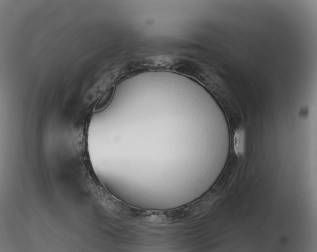 X0000116771395200912241153