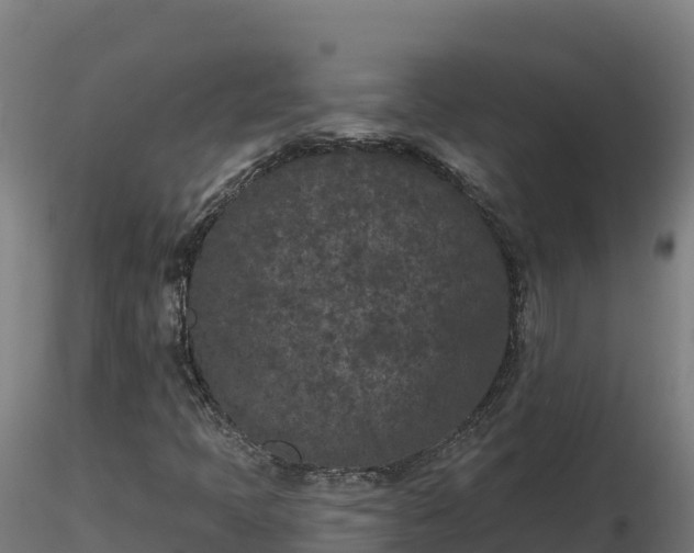 X0000116771397200912241153