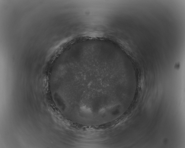X0000116771398200912241153