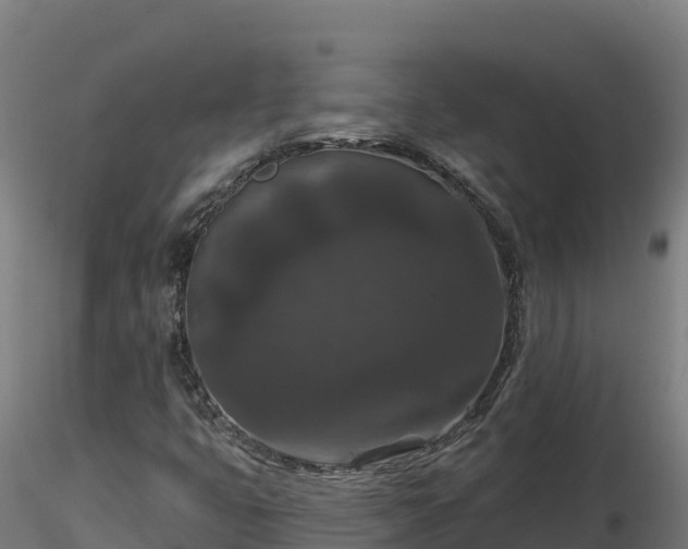 X0000116771399200912241154