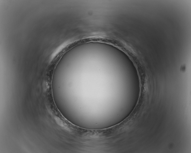 X0000116771400200912241154