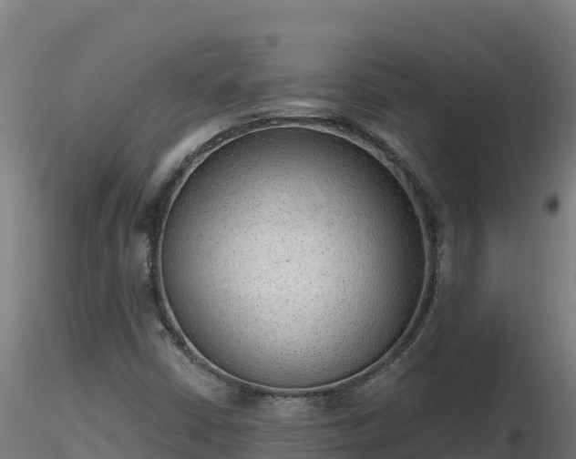 X0000116771402200912241154
