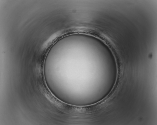 X0000116771403200912241154