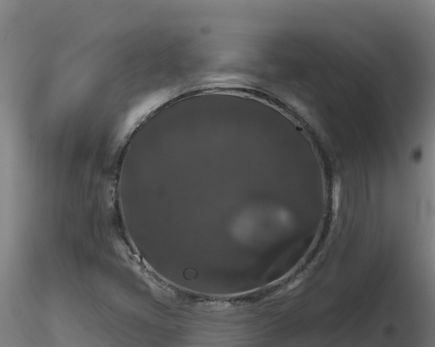 X0000116771405200912241154