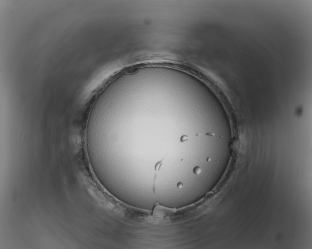 X0000116771407200912241154