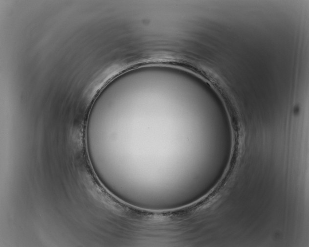 X0000116771409200912241154