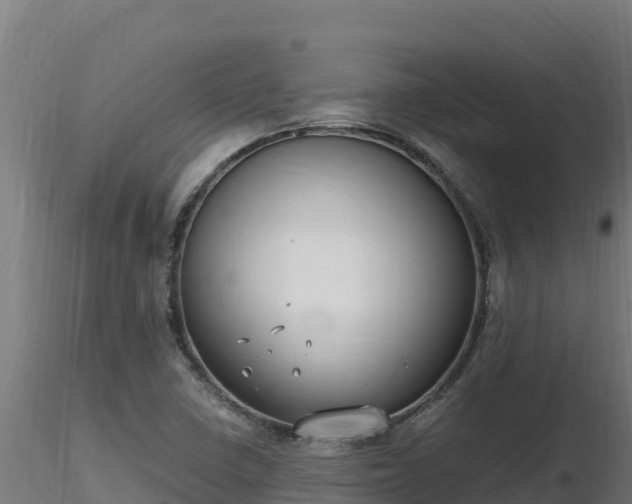 X0000116771410200912241154