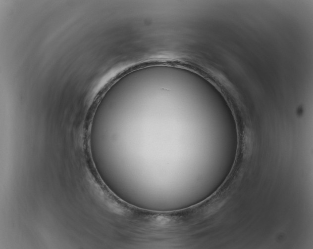 X0000116771412200912241154