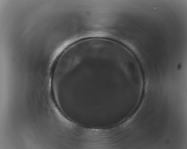 X0000116771414200912241154