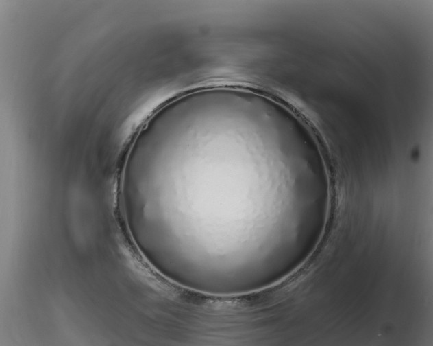 X0000116771415200912241154