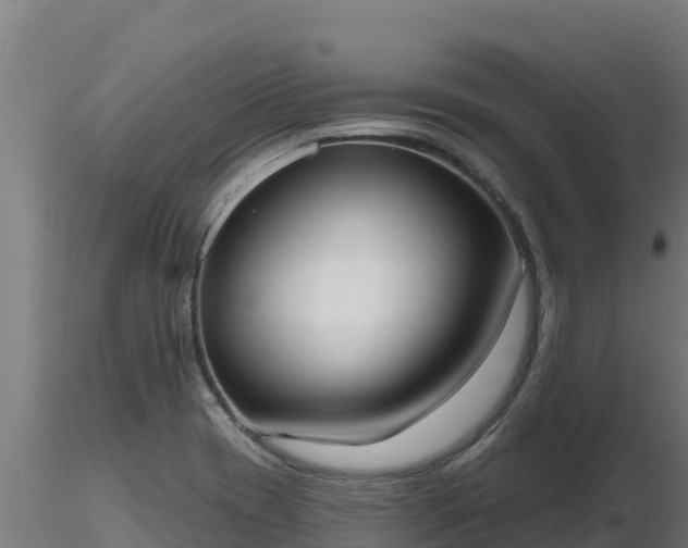 X0000116771417200912241154
