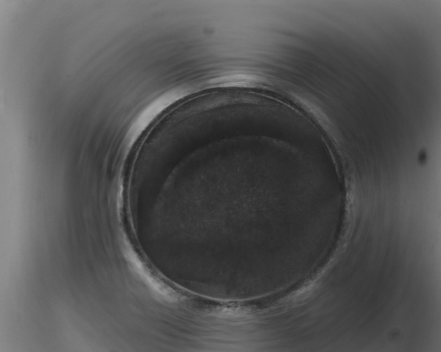 X0000116771418200912241154