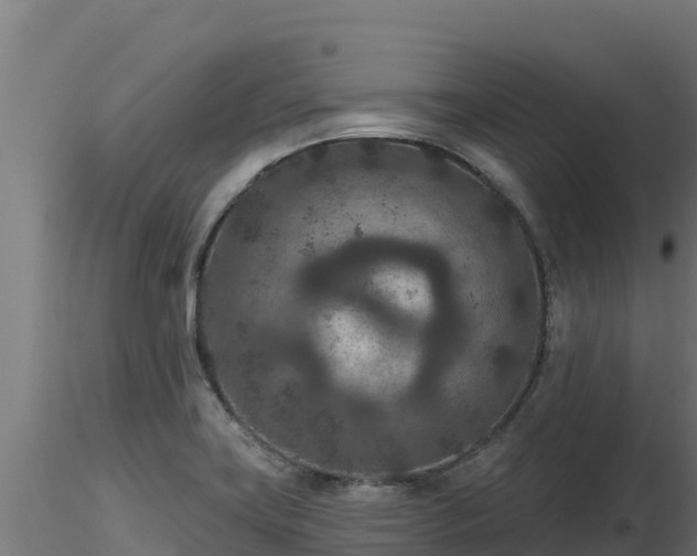 X0000116771419200912241154