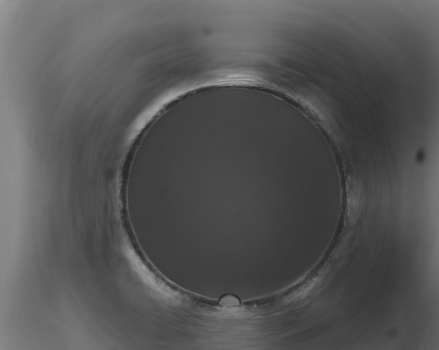 X0000116771422200912241154