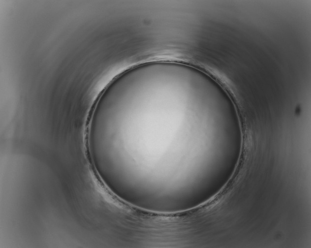X0000116771423200912241154