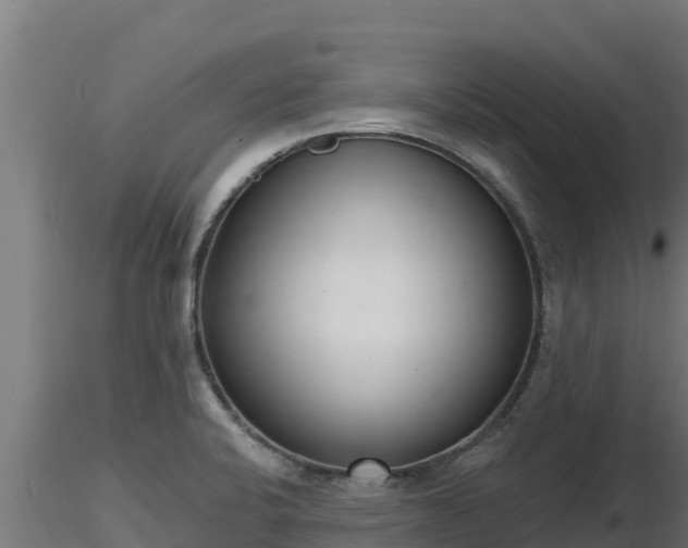 X0000116771424200912241154