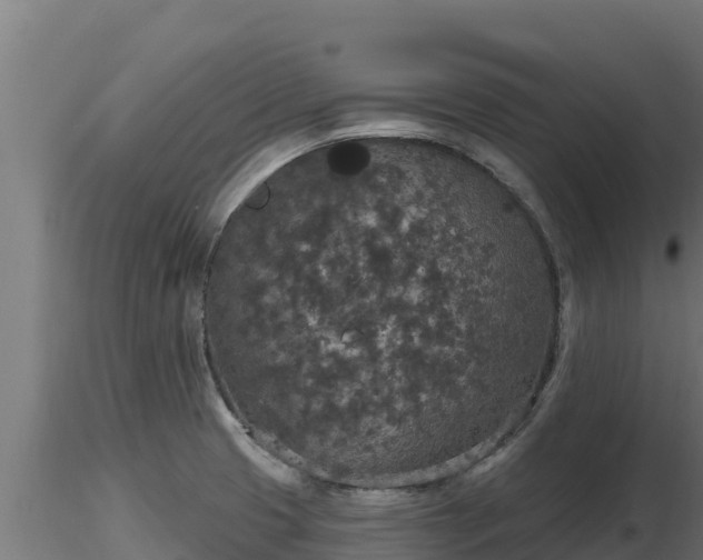 X0000116771425200912241154