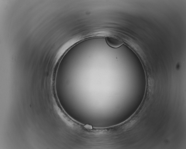 X0000116771426200912241154