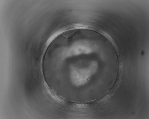 X0000116771427200912241154