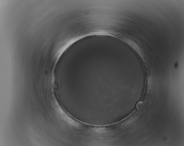 X0000116771428200912241154