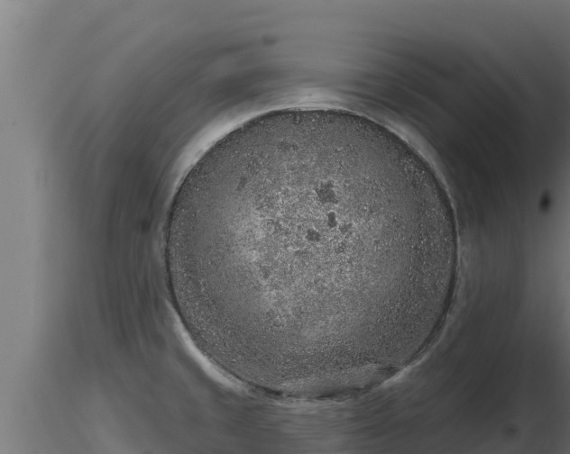 X0000116771429200912241154