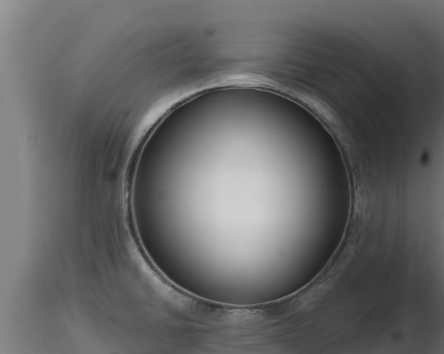 X0000116771430200912241154