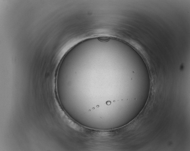 X0000116771431200912241154