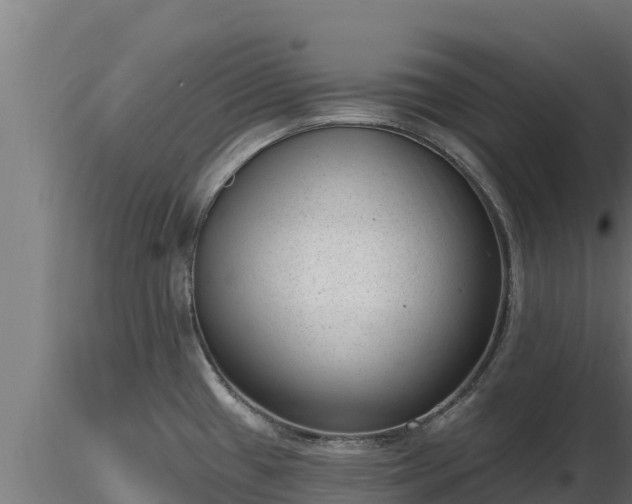 X0000116771433200912241154