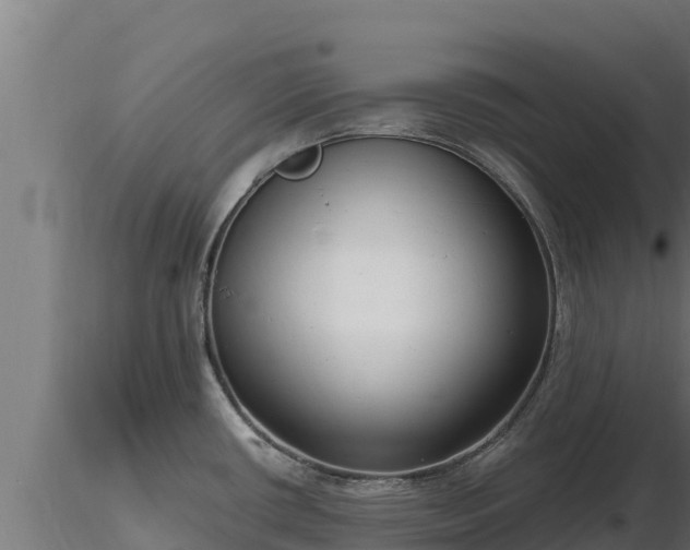X0000116771434200912241154
