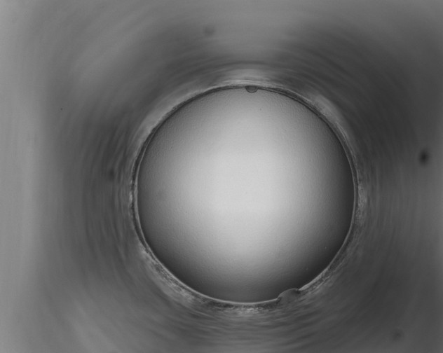 X0000116771435200912241154