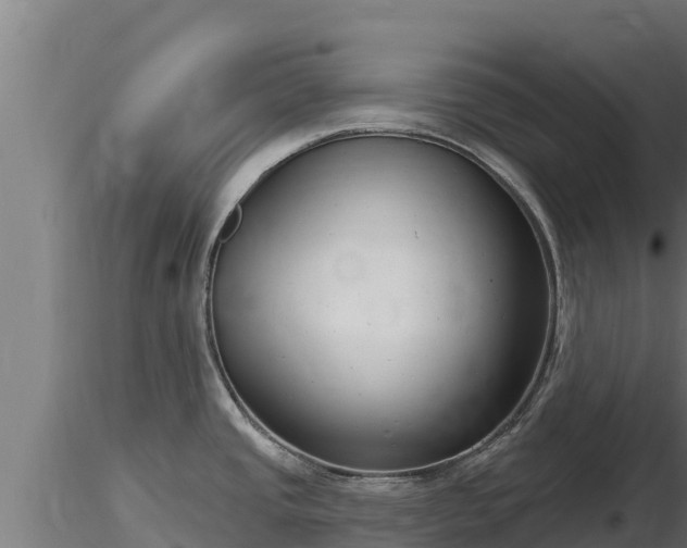 X0000116771437200912241154