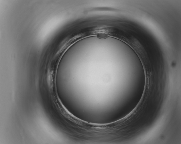 X0000116771438200912241154
