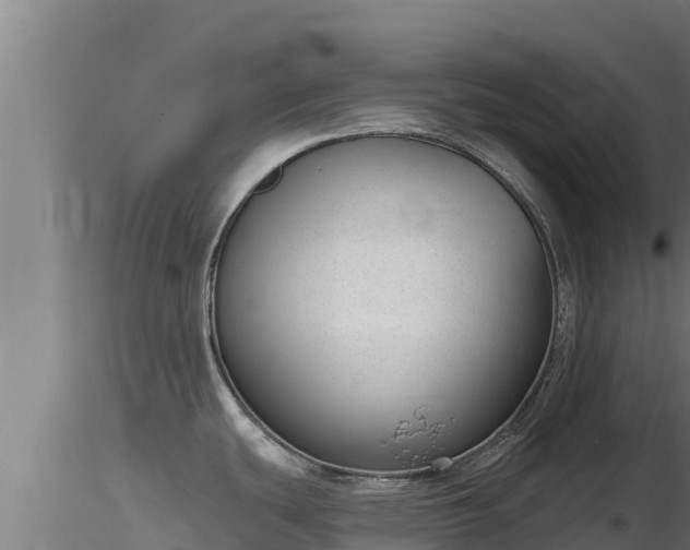 X0000116771439200912241154