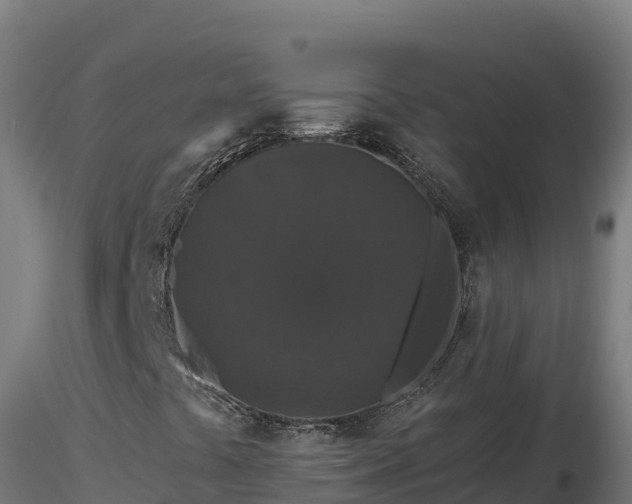 X0000116771441200912241153