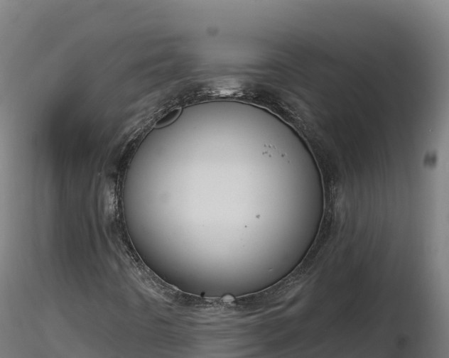 X0000116771442200912241153