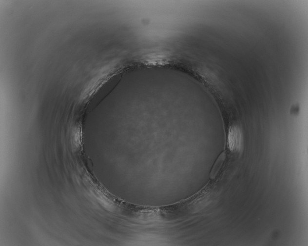 X0000116771444200912241153