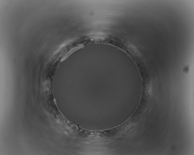 X0000116771445200912241153