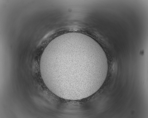 X0000116771446200912241153