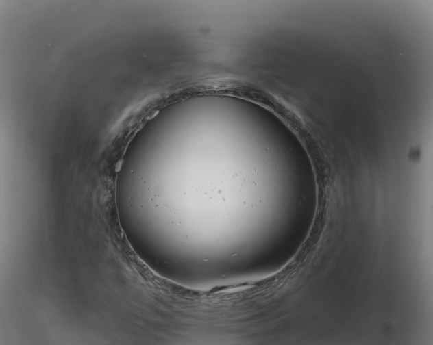 X0000116771447200912241153